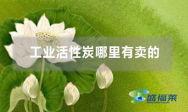 工業(yè)活性炭哪里有賣(mài)的（工業(yè)活性炭購(gòu)買(mǎi)渠道）