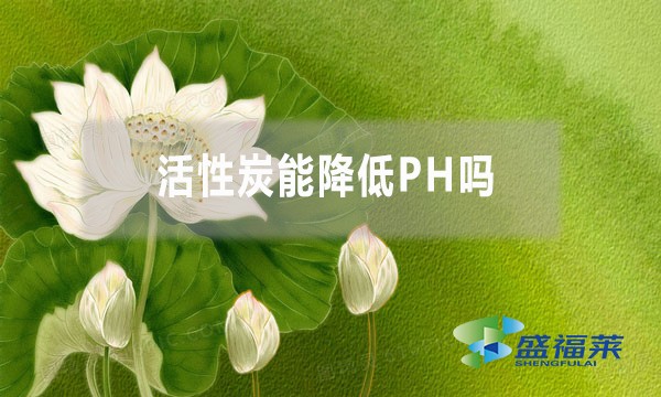 活性炭能降低PH嗎？為什么？