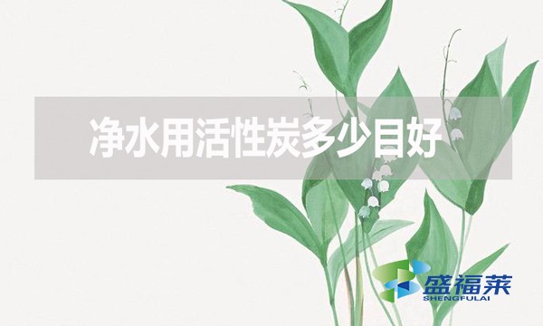 凈水用活性炭多少目好？有哪些優(yōu)缺點(diǎn)？