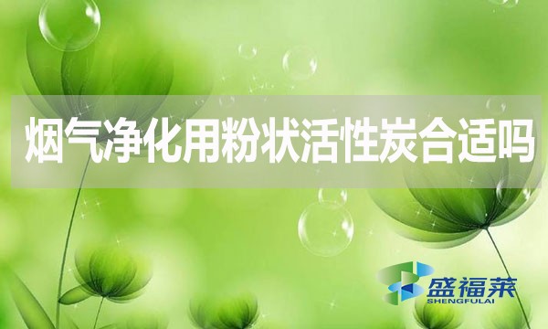 煙氣凈化用粉狀活性炭合適嗎？